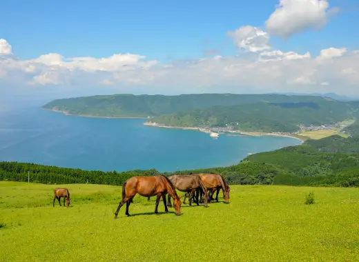 Miyazaki sightseeing activities