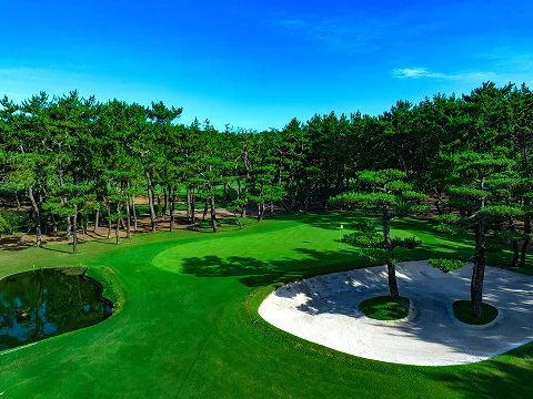 PHOENIX COUNTRY CLUB